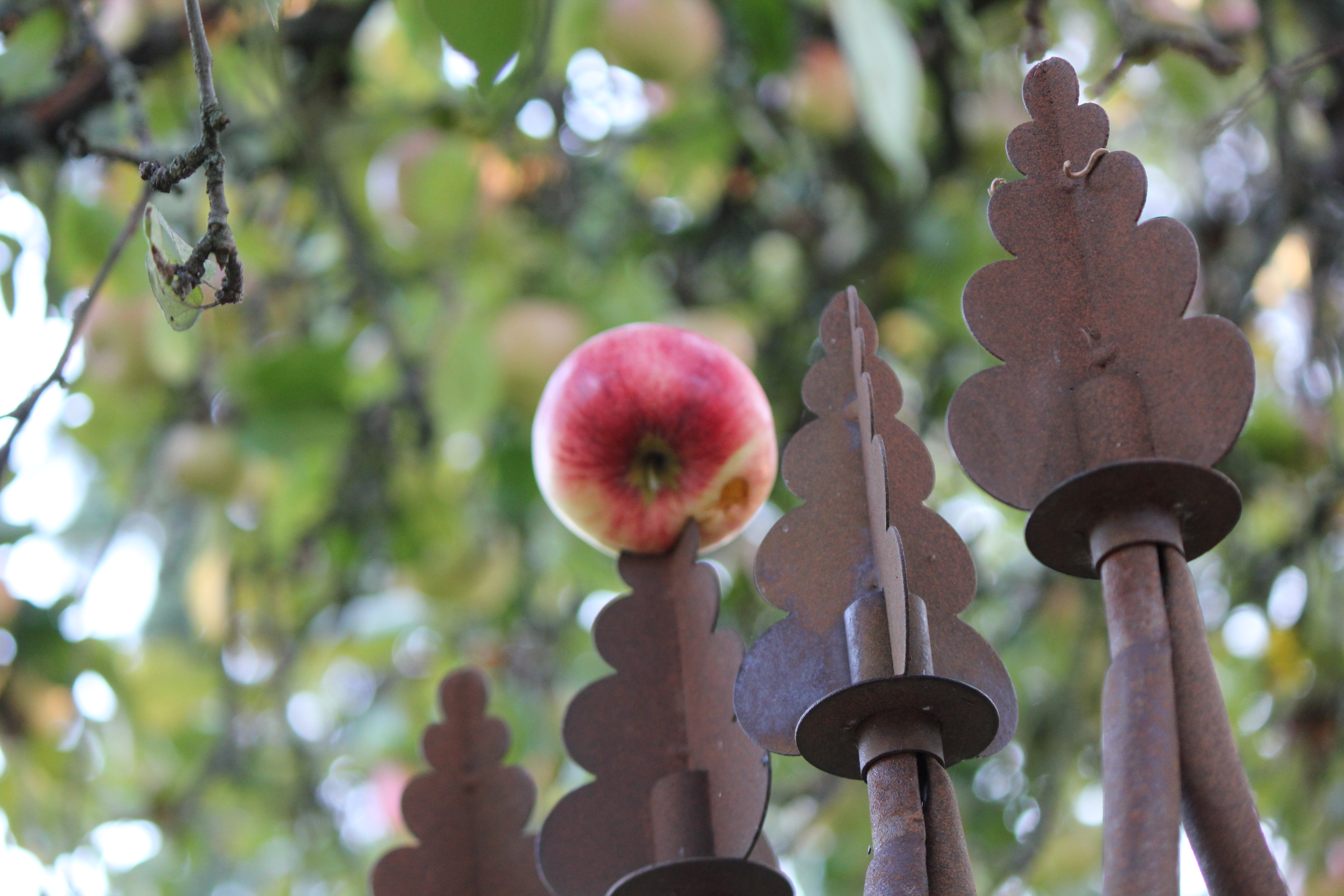 Źródło: https://cc0.photo/2021/10/06/apple-impaled-on-a-fence-crown/